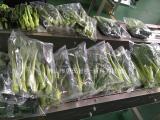长叶青新鲜蔬菜自动包装机